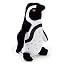 Humboldt Penguin