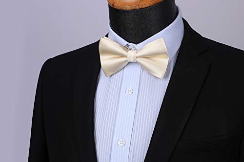 Image of HISDERN Bow Ties for Men Pretied Bowties Classic Formal Business Bow Tie Adjustable Tuxedo Bowtie for Wedding Party