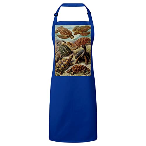 Tablier de cuisine bleu Fabulous avec dessin de biologie tortue, le cadeau original
