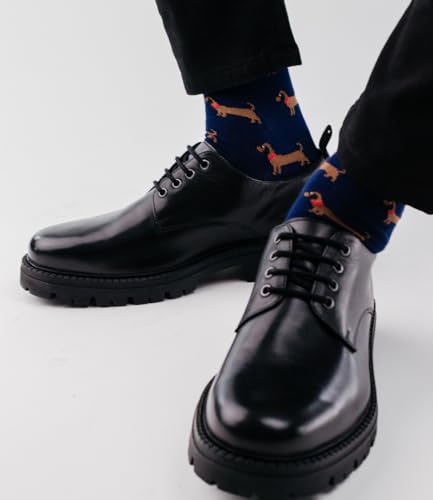 TODO 2Paar Lustige Socken Dackel Motiv, Dackel Socken Herren 42-44