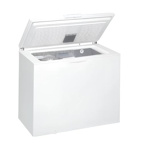 Congélateur Coffre - 250 Litres – Température -18°C – Compact et Spacieux – Idéal pour Professionnels et Particuliers