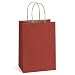 BagDream Kraft Paper Bags 100Pcs 5.25x3.75x8 Inches Small Paper Gift Bags, Shopping Bag, Kraft Bags, Party Bags, Red Paper Bags with Handles Bulk