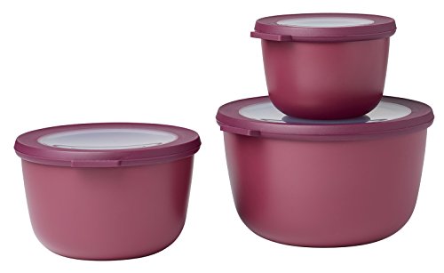 MEPAL Juego Multi  cirqula Cuencos, 3 Piezas (500 + 1000 + 2000 ML) Juego de cirqula de 3 Piezas de 50010002000 de Nordic de Berry, PP/TPE, Nordic Berry, 0 mm, 3