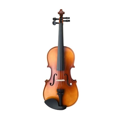 Professional Violin Set Adult Practice Beginner 4/4 Violin Complete Set With Accessories(Antique gloss)