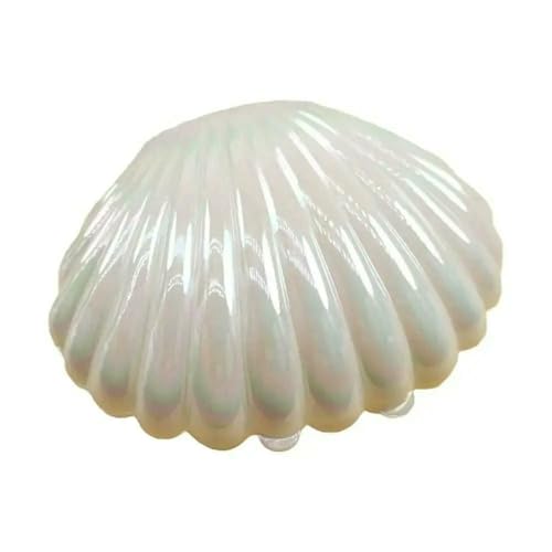 LIUBI Frascos de plástico Bonitos para Embalaje de Regalos, Maquillaje, Joyas, Almacenamiento, Conchas Marinas, decoración para Fiestas, Recuerdos de Boda, 10 Unidades