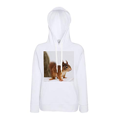 Sweat écureuil mignon le cadeau photo nature parfait