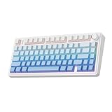 EPOMAKER x Aula F75 ゲーミングキーボード ガスケット メカニカルキーボード 5層パッド＆ノブ付き 75% ワイヤレス ホットスワッパブル Bluetooth/2.4GHz/USB-C RGB 技適認証取得 (Blue Gradient, LEOBOG Reaper Switch)