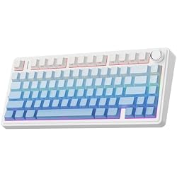 EPOMAKER x Aula F75 Gasket Mechanical Keyboard, 75% Wireless Hot Swappable Gaming Keyboard with Five-Layer Padding&Knob, BT/2.4GHz/USB-C, RGB (Blue Gradient, LEOBOG Reaper Switch)