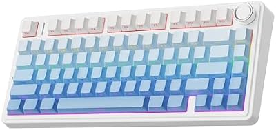 EPOMAKER Wireless Hot Swappable Gaming Keyboard