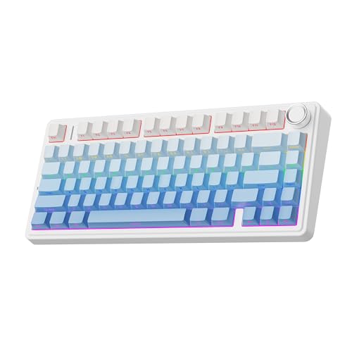 EPOMAKER x Aula F75 Gasket Mechanical Keyboard, 75% Wireless Hot Swappable Gaming Keyboard with Five-Layer Padding&Knob, Bluetooth/2.4GHz/USB-C, RGB (Blue Gradient, LEOBOG Reaper Switch)