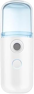 Nano Facial Mister, Mini Facial Steamer, Handy Moisturizing Mist Sprayer, Atomization Skin Care Steamer, USB Rechargeable, You May Receive Defective Products Please Feel Free to Contact Us