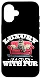 Fur Luxury Couch Cat Cats Kitten Feline Whiskers