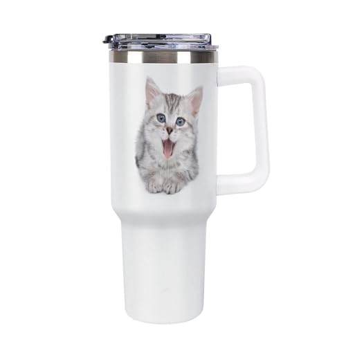 킢 lR L AJV[gwA ^u[ Wt ԗpRbv @r  s{g t Xg[t 1.18L L e ^fM d\ ۉۗ XeX r[/R[q[ jp ^