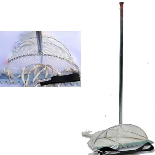 TELLINARO RASTRELLO PESCA RETE VONGOLE TELLINE GRANCHI INNESCO SURFCASTING ESCA (medio)