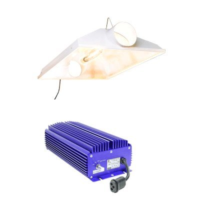 Flora Hydroponics Lumatek Digital Raptor 8AC Grow Light System & Flora Hydroponics pH Control Kit Bundle Pack - 600W