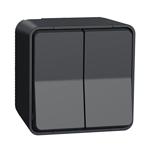 Schneider Electric - Mureva Styl - Double va et vient - saillie - IP55 - IK08 - connexion auto - gris - MUR35022