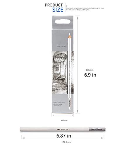 Kachikawa Sketch Highlight Pencil Pen Charcoal White Sketch Pencil Painting Special White Charcoal 12 Pcs (White Charcoal Pencil) #TOP2