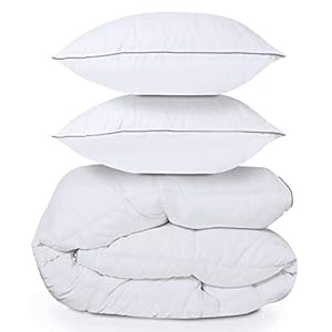 IDMarket – Couette 220×240 CM AELA en Plume d’oie Anti acarien 500 GR + 2 oreillers