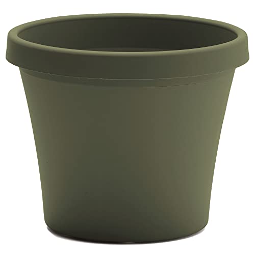 Bloem Terra Pot Planter: 20