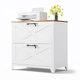 MIIIKO 2 Drawer Lateral File Cabinet with Lock,Metal Filing Storage Cabinets for Home Office,Files Folders Letter/Legal/A4 Size(White)