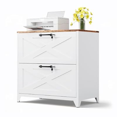 MIIIKO 2 Drawer Lateral File Cabinet with Lock,Metal Filing Storage Cabinets for Home Office,Files Folders Letter/Legal/A4 Size(White)