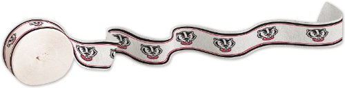 Creative Converting Wisconsin Badgers Crepe Paper Streamer Roll, 30-Feet