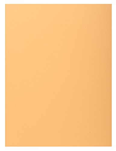 Preisvergleich Produktbild CLAIREFONTAINE 348025E Box 100 Unterordner, gelb