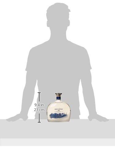 Amazon.co.jp: グレイグース VX ウォッカ 40度 1000ml [並行輸入品