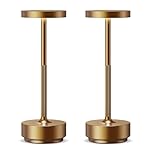 SLSMD 2Pack Cordless Table Lamp, Rechargeable LED Battery 5000mAh USB Portable Powered Desk Lamp, 3 Levels Light for Restaurants Outdoor (Titanium)