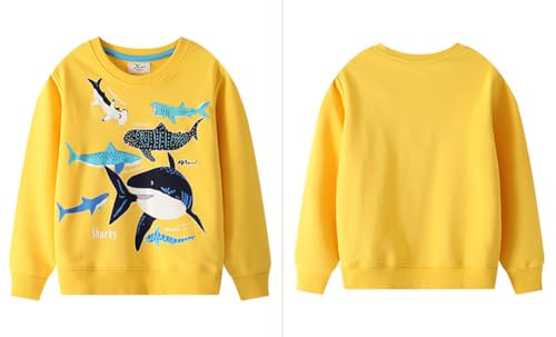Boys Sweatshirts Casual Sweatshirts Cotton Sweatshirts Long Sleeve T-shirts Crew Neck Cartoon Tops for Boys-449 6