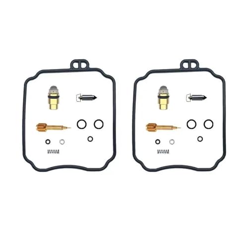 Kit carburateur SRV250 pour résoudre les fuites et trous d'accélération