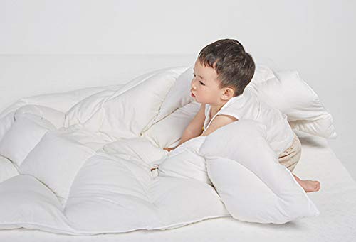 Baby/Toddler Crib Down Comforter/Blanket for Winter,Pure Goose Down Filled,Soft Breathable Cozy(White, Small(33x43in))