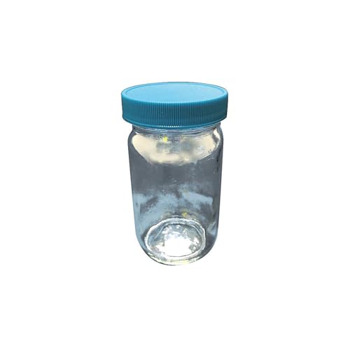 Bottle 30mL Glass Wide PK24