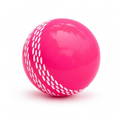Image of T-20 Synthetic Cricket Ball Match Practice Training | Practice Cricket Ball | Wind Balls | Swing Ball | Indoor & Outdoor Street & Beach Cricket (Pink, Pack of 1)