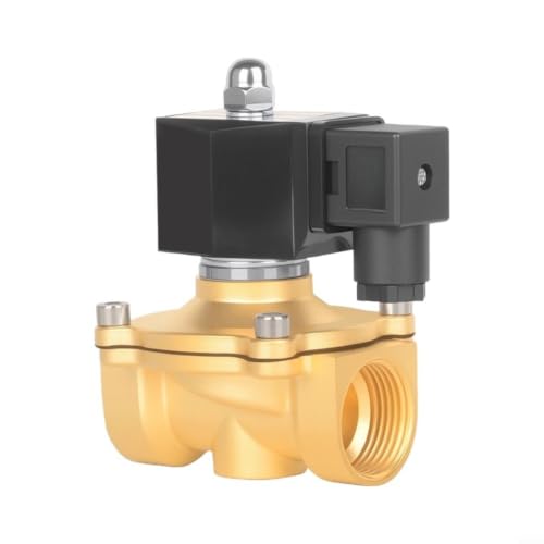 Électrovanne haut de gamme DN15 en laiton renforcé pour commande d'eau extérieure - 2