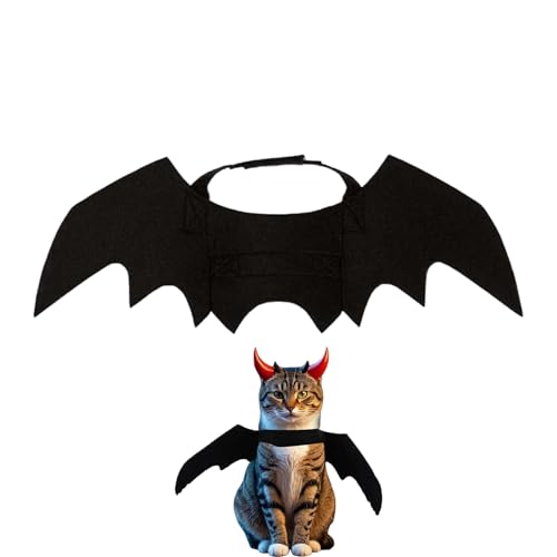 ybgpnEBRX`[ | nEB LpHt ybgߑ p[eB[ANZT[ | ybgpi^LpCxgՂNX}Xaߑ