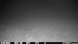 Review Image by Benjamin J Chernick Benjamin J Chernick