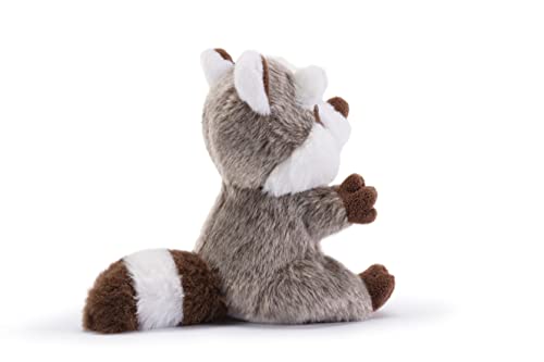Trudi Trudino Raccoon Small Plush Toy, 9 x 13 x 15 cm, XS Size, Ideal for Valentine's Day, Christmas, and Birthdays - Image 3