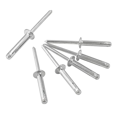 Kyuionty 60 Pcs 3/16" x 1" Tri-Fold Pop Rivets, Large Head (Silver)