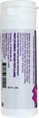 Lotte Xylitol Blueberry Mint Gum 1.02 OZ (Pack of 1)