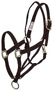 Aime Imports Basic Pull Back Training Halter Black