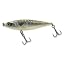 Bone Mackerel