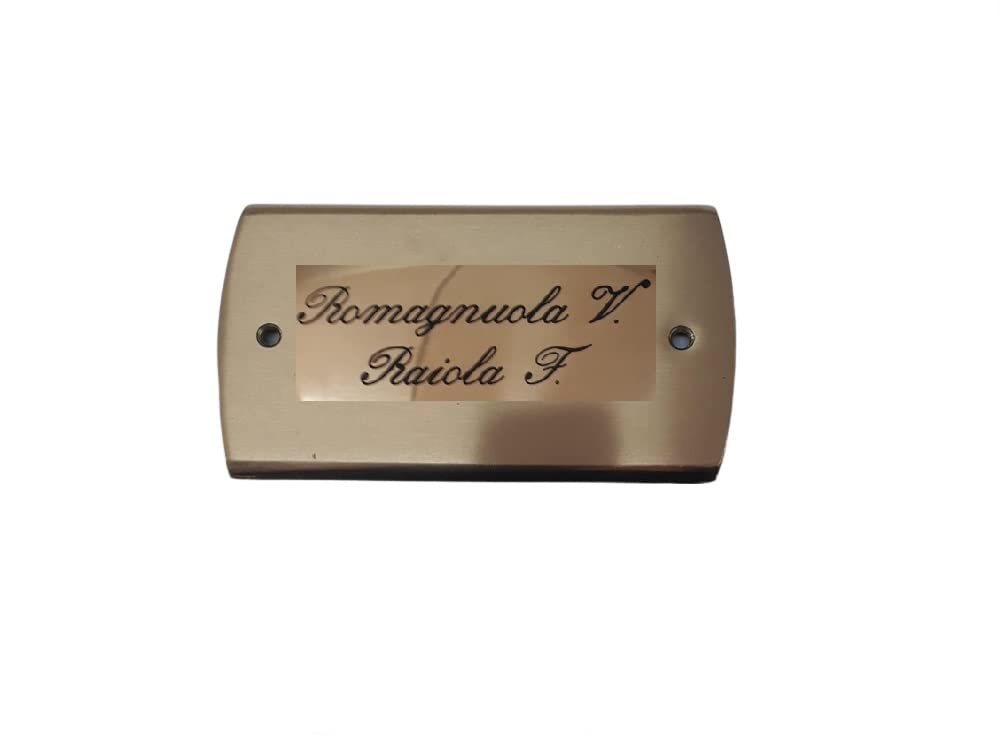 Namensschild aus satiniertem Messing, 12 x 7 cm, 1 oder 2 Linien, englisch oder mit 2 Löchern, graviert, kompatibel mit Schlüsselkasten 503, personalisierbar oder verstorbenes Schild + 1
