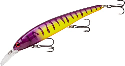 BAND-IT BDTWBS1B18 Walleye Shallow Electric Zebra