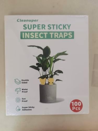 100 Pack Yellow Sticky Gnat Traps for Plants - Fungus Gnat image 2