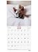 Imagen de Finocam Calendario Pared 30x30 Escribir 2027 Imágenes Gatitos · Español