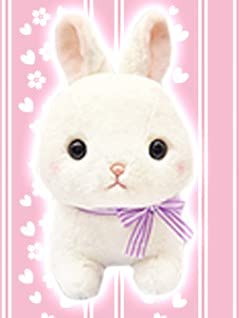 Amazon.co.jp: うさぎのシフォン BIGぬいぐるみ シュクル 36cm : おもちゃ