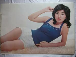 桜田淳子パネル60✕85センチ fit=scale-down,w=1200