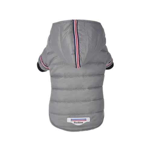 OhhybgWPbg~gh˃t[htWPbgefBČpOp,O[,XL