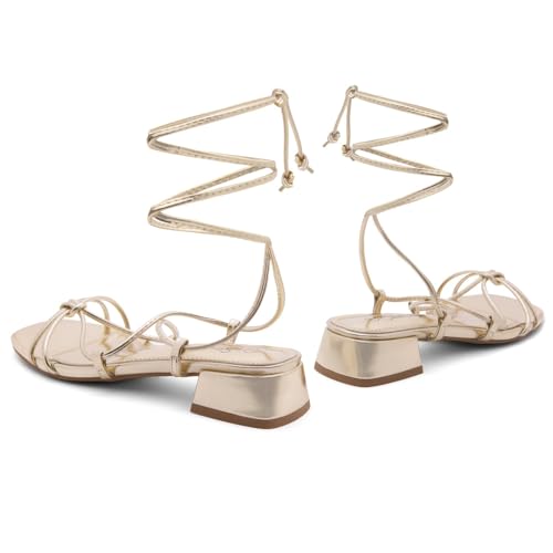 Shoe Land SL-Danica Women's Lace-Up Chunky Low Heels, Strappy Ankle Wrap Heeled Sandals, Square Open Toe Tie-Up Dress Sandals for Holiday, Party, and Wedding4
